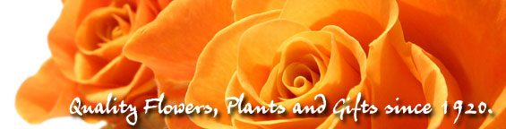 Quality Flowers, Plants and Gifts since 1920 from your Ashland area florist, Fields Flowers.