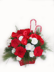 Candy Cane Bouquet from Fields Flowers in Ashland, KY