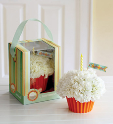 Cupcake in Bloom