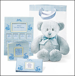 FTD Baby Gift Bear-Boy