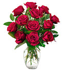 12 Red Roses from Fields Flowers in Ashland, KY
