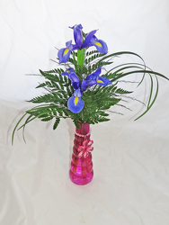 Iris Bud Vase from Fields Flowers in Ashland, KY