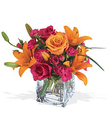 Teleflora's Uniquely Chic Bouquet from Fields Flowers in Ashland, KY