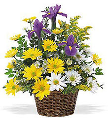 Smiling Spring Basket from Fields Flowers in Ashland, KY