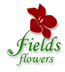Fields Flowers, your online Kentucky florist delivering to Ashland, Catlettsburg, Flatwoods, Cannonsburg, Greenup, Boyd County, Russell, Bellefonte and Summit, KY