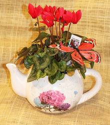 Tea Pot planter from Fields Flowers in Ashland, KY