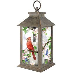 "Favorite Birds" Lantern from Fields Flowers in Ashland, KY