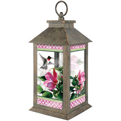 "Hibiscus Hummingbird" Lantern from Fields Flowers in Ashland, KY