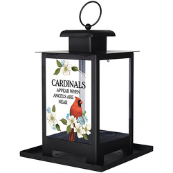 Cardinal Bird Feeder  from Fields Flowers in Ashland, KY