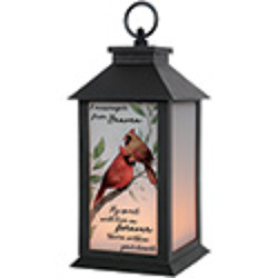 "A Message" Lantern from Fields Flowers in Ashland, KY