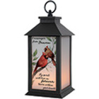 "A Message" Lantern from Fields Flowers in Ashland, KY