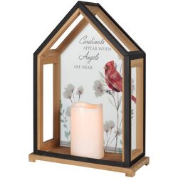 Open Front Cardinals Appear Lantern from Fields Flowers in Ashland, KY