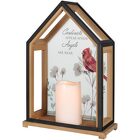 Open Front Cardinals Appear Lantern from Fields Flowers in Ashland, KY