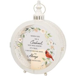 Cardinals Appear Round Lantern from Fields Flowers in Ashland, KY
