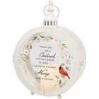 Cardinals Appear Round Lantern from Fields Flowers in Ashland, KY