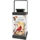 CARDINAL PLEXIGLASS LANTERN from Fields Flowers in Ashland, KY