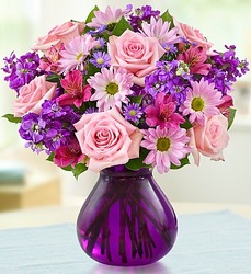 Lavender Dreams from Fields Flowers in Ashland, KY