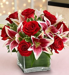Modern Embrace Red from Fields Flowers in Ashland, KY