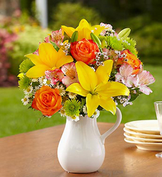 Fields of Europe Pitcher from Fields Flowers in Ashland, KY