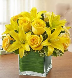 Modern Embrace Yellow from Fields Flowers in Ashland, KY