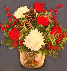 Cardinal Christmas from Fields Flowers in Ashland, KY