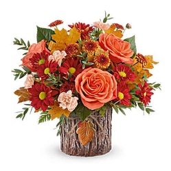 Teleflora's Enchanted Forest Bouquet from Fields Flowers in Ashland, KY