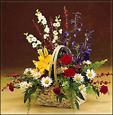 Flowers Galore from Fields Flowers in Ashland, KY