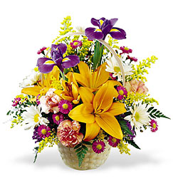 Natural Wonders from Fields Flowers in Ashland, KY