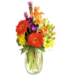 FTD Festival of Color Bouquet from Fields Flowers in Ashland, KY