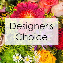 Create Your Own - Designer's Choice from Fields Flowers in Ashland, KY