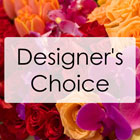 Create Your Own - High Style Arrangement from Fields Flowers in Ashland, KY