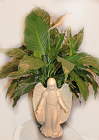 Peace Lilly in Angel Container from Fields Flowers in Ashland, KY