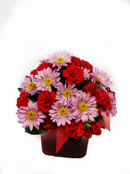 Pink Cube bouquet from Fields Flowers in Ashland, KY