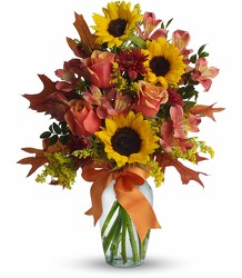 Warm Embrace by Teleflora from Fields Flowers in Ashland, KY