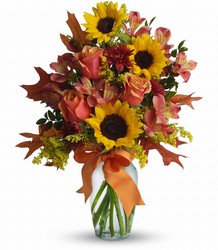 Warm Embrace from Fields Flowers in Ashland, KY