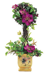 Teleflora's Lena Liu Hummingbird Topiary from Fields Flowers in Ashland, KY