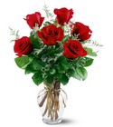6 Red Roses from Fields Flowers in Ashland, KY
