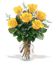 6 Yellow Roses from Fields Flowers in Ashland, KY