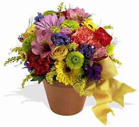 Fresh Blossom Potpourri from Fields Flowers in Ashland, KY