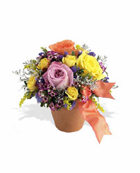 Sweet and Simple from Fields Flowers in Ashland, KY