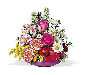 Sunny Days from Fields Flowers in Ashland, KY