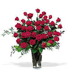 Three Dozen Red Roses from Fields Flowers in Ashland, KY