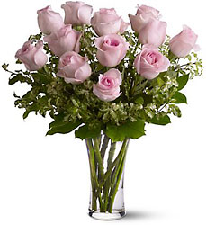 A Dozen Pink Roses from Fields Flowers in Ashland, KY